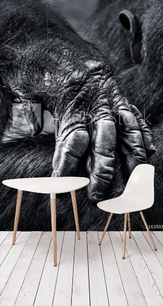 Picture of Gorilla Hand